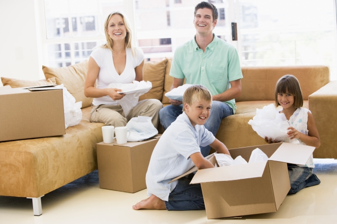 professional movers in Kingston